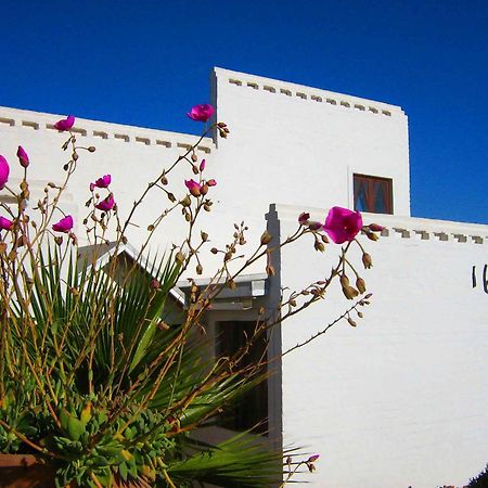 Alternative Space B & B Swakopmund Exteriör bild