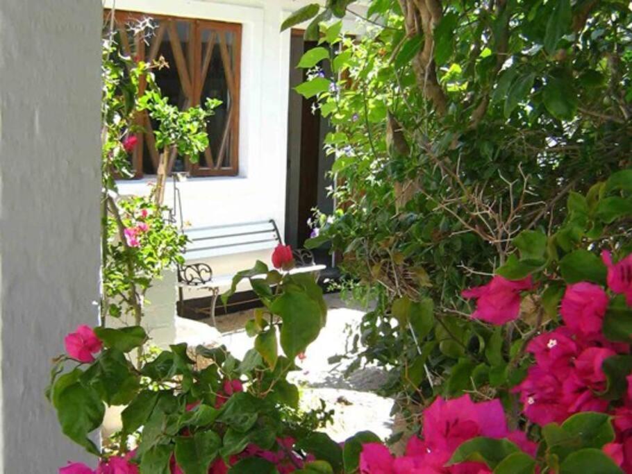 Alternative Space B & B Swakopmund Exteriör bild